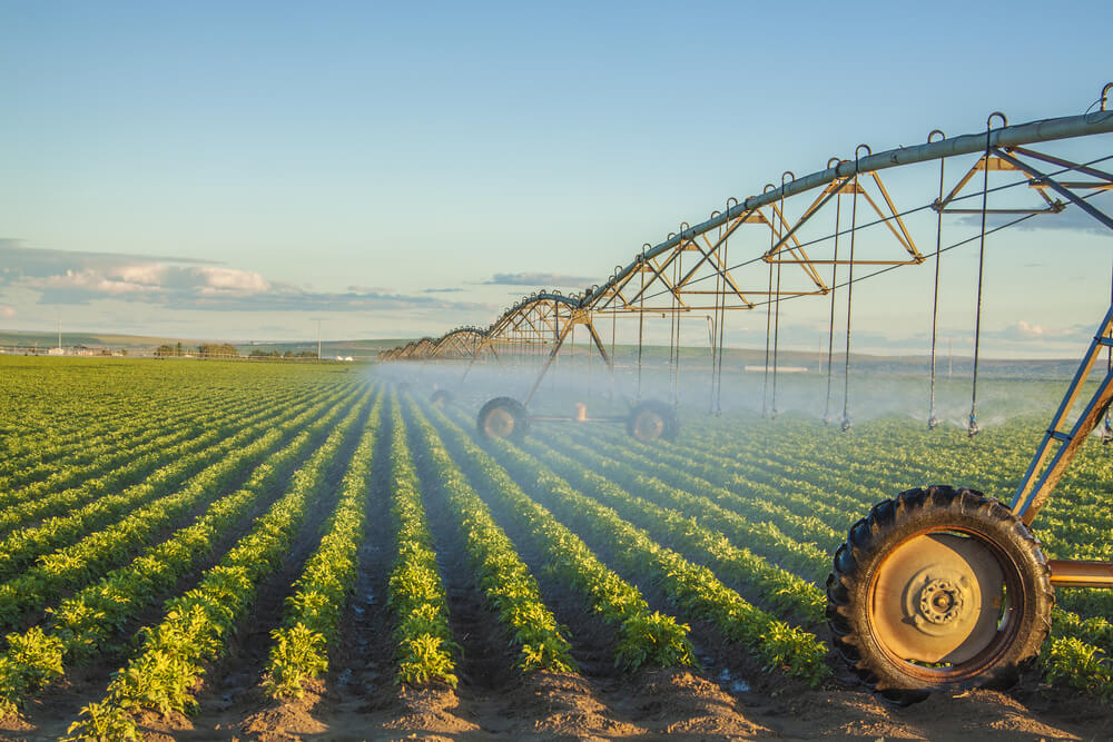 Dyna Green crop nutrient program