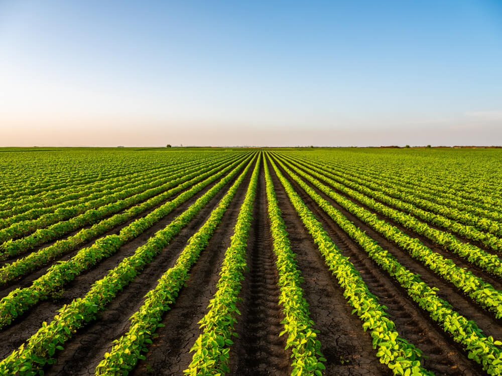Dyna Gold crop nutrient program