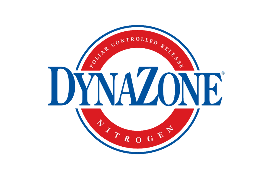 DynaZone logo